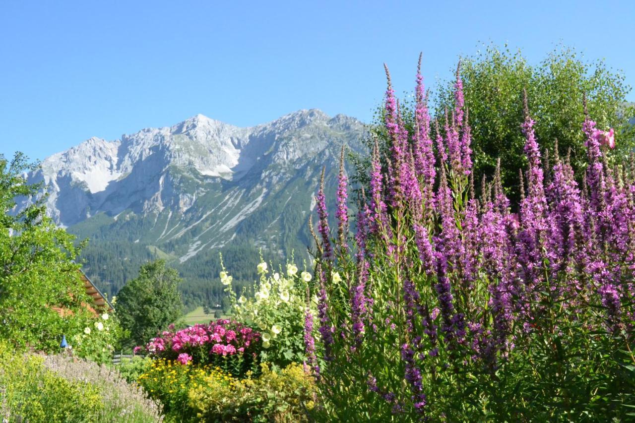 Pension Moeslehnerhof Ramsau am Dachstein Exterior photo
