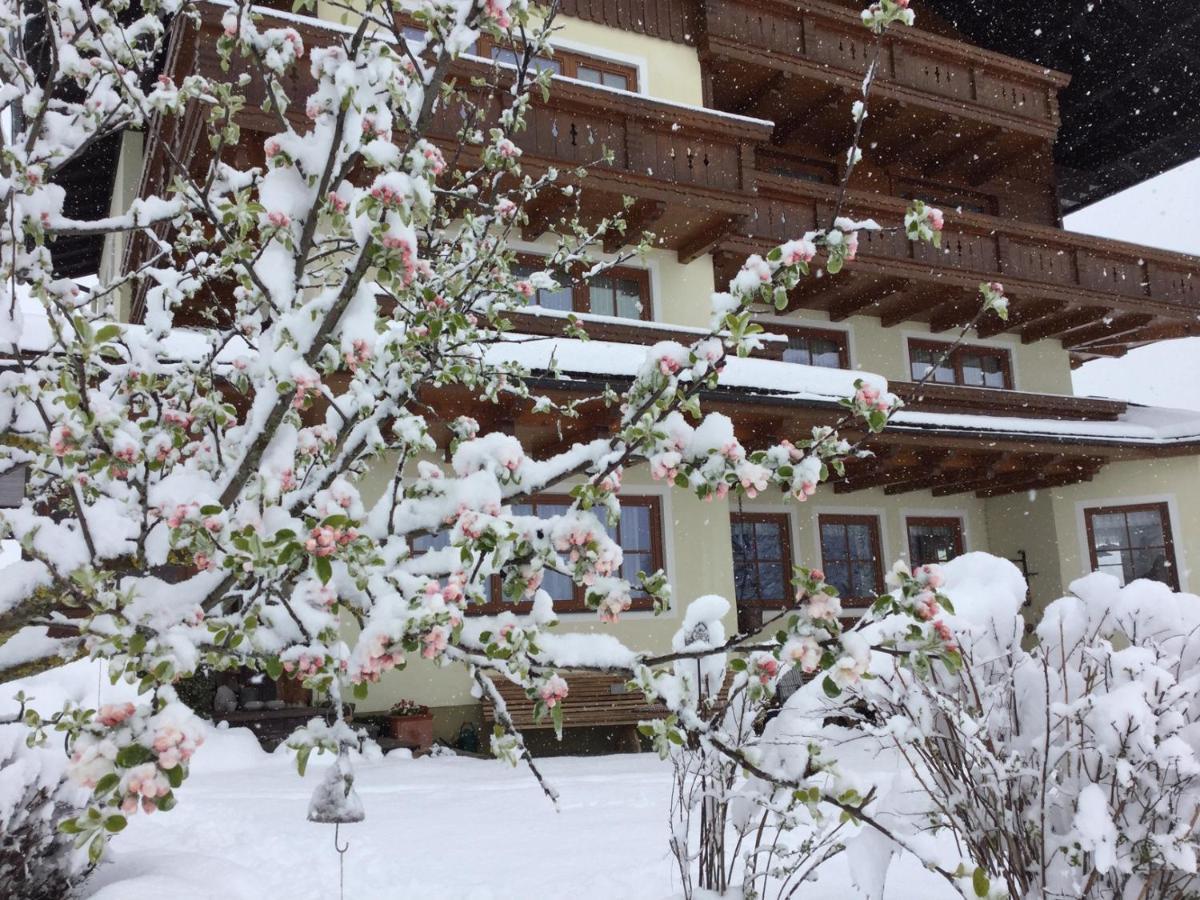 Pension Moeslehnerhof Ramsau am Dachstein Exterior photo